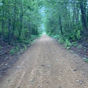 Meet your Posher, Softball